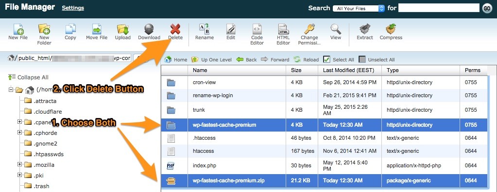 delete-files-on-cpanel