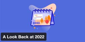 Year in review: A Look Back at 2022