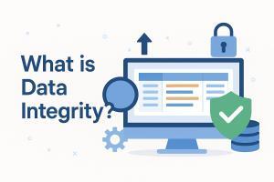 Understanding Data Integrity in Digital Systems