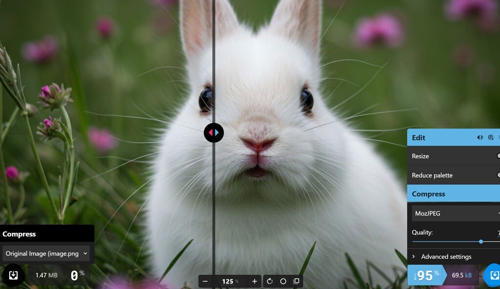 resizer.ai screenshot after image upload, user can select format from right side options