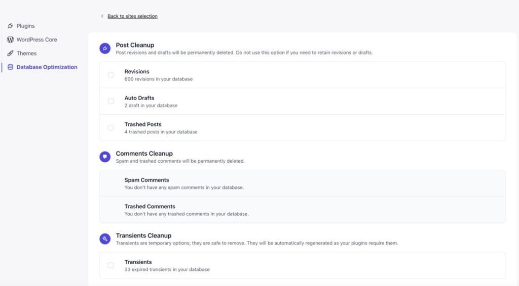 WP Umbrella’s Database Optimization Feature