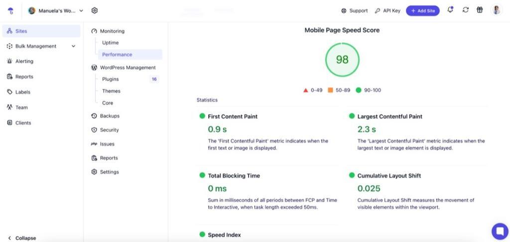 WP Umbrella’s performance monitoring dashboard overview